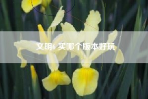 文明6 买哪个版本好玩