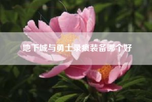 地下城与勇士录痕装备哪个好