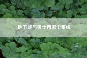 地下城与勇士用哪个系统