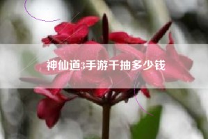 神仙道3手游千抽多少钱