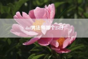 dnf男法师哪个25仔