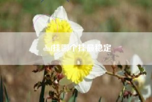 dnf挂哪个挂最稳定