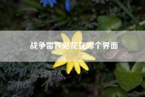 战争雷霆贴花在哪个界面