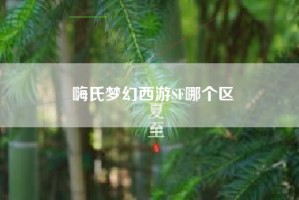 嗨氏梦幻西游SF哪个区