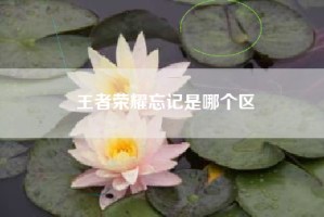 王者荣耀忘记是哪个区