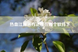 热血江湖官方正版在哪个软件下