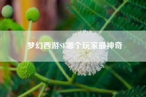 梦幻西游SF哪个玩家最神奇