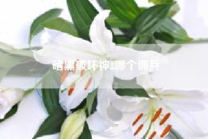 暗黑破坏神2哪个佣兵