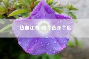 热血江湖sf哪个选哪个区