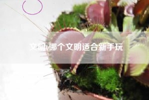 文明6哪个文明适合新手玩