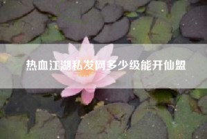 热血江湖私发网多少级能开仙盟