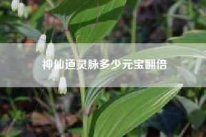 神仙道灵脉多少元宝翻倍