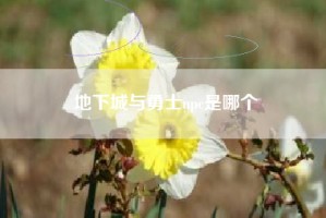 地下城与勇士npc是哪个