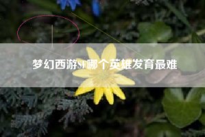 梦幻西游SF哪个英雄发育最难