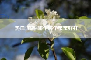 热血江湖sf哪个哪个宝宝好打