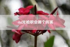 dnf光枪职业哪个厉害