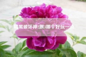 暗黑破坏神2跟3哪个好玩一点