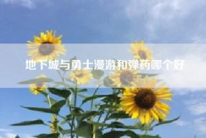 地下城与勇士漫游和弹药哪个好