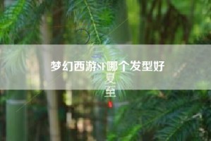 梦幻西游SF哪个发型好