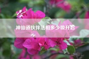 神仙道伙伴法相多少级开启