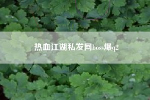 热血江湖私发网boss爆q2