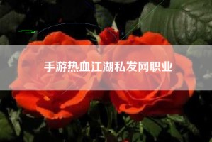 手游热血江湖私发网职业