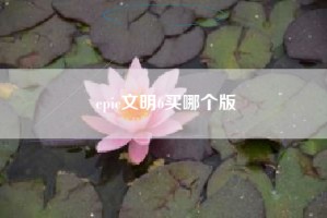 epic文明6买哪个版