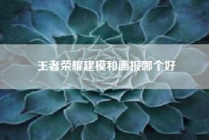 王者荣耀建模和画报哪个好