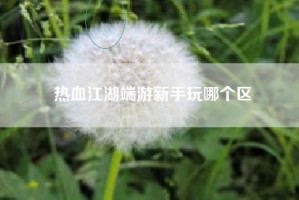 热血江湖端游新手玩哪个区