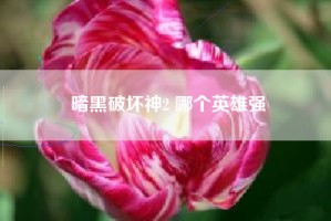 暗黑破坏神2 哪个英雄强