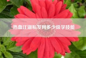 热血江湖私发网多少级学技能