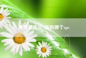 赛博朋克2077能和哪个npc