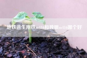 地铁逃生刚铁m416和独眼m416哪个好