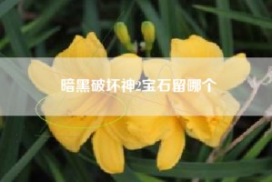 暗黑破坏神2宝石留哪个