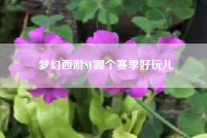 梦幻西游SF哪个赛季好玩儿