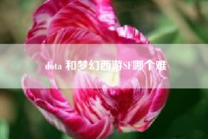 dota 和梦幻西游SF哪个难