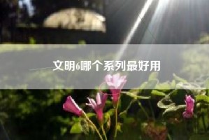 文明6哪个系列最好用