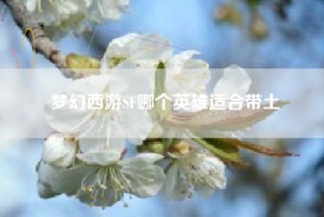 梦幻西游SF哪个英雄适合带土