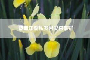 热血江湖私发网灵兽最好