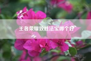 王者荣耀致胜法宝哪个好