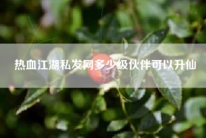 热血江湖私发网多少级伙伴可以升仙