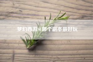 梦幻西游SF哪个副本最好玩