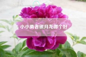 小小勇者银月龙哪个好