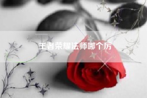 王者荣耀法师哪个厉