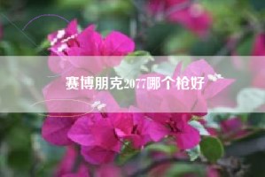 赛博朋克2077哪个枪好