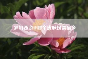 梦幻西游SF哪个皮肤投票最多