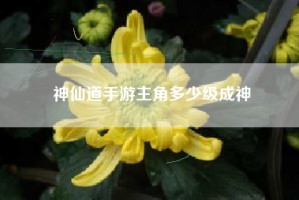 神仙道手游主角多少级成神