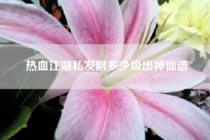 热血江湖私发网多少级出神仙谱