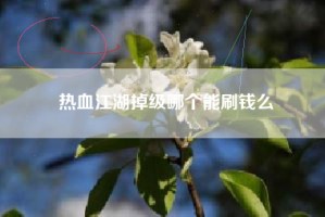 热血江湖掉级哪个能刷钱么