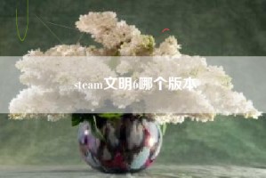 steam文明6哪个版本